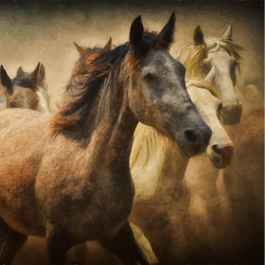 Vastu Good Luck Paintings for Home - 7 Horse Painting Vastu